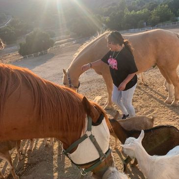 rs=w_365,h_365,cg_true