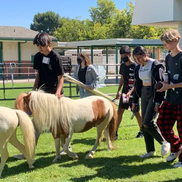 rs=w_365,h_365,cg_true